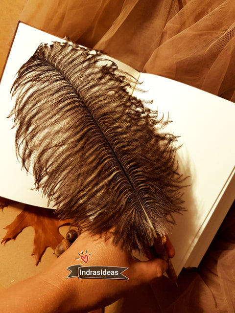 Golden Wedding tree guest book and set