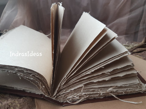 Enhanced Forest Small Book and Set