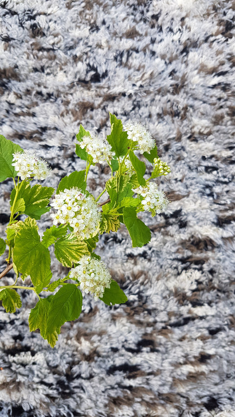 Super fluffy gray+brown+white+black rug, Hand woven Eco Rug, Wool Carpet, Rustic Handwoven wool rug
