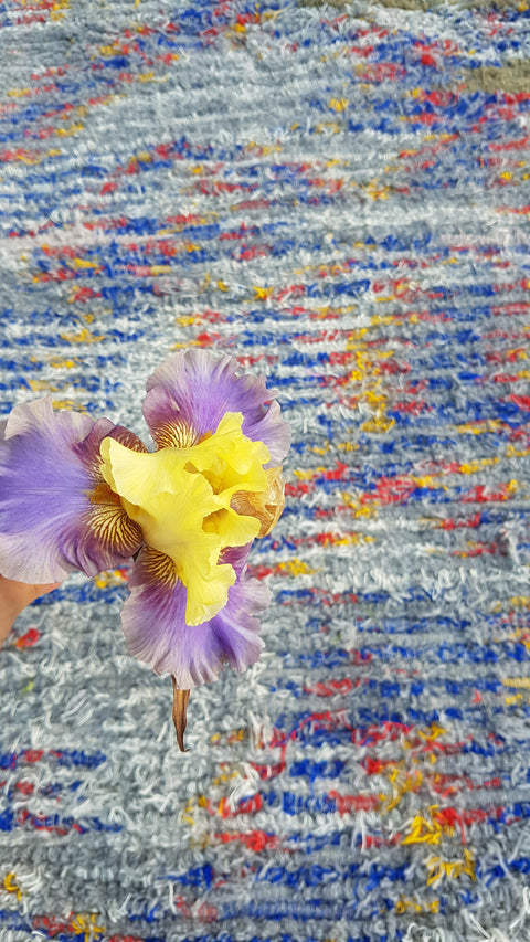 Colorful hand woven wool rug, Gray, blue, yellow woven rug, bohemian rug.