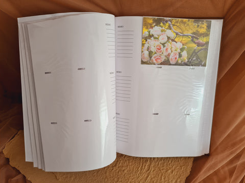 Love tree Photo album, Sweet 16 photo album ( 300 photos)